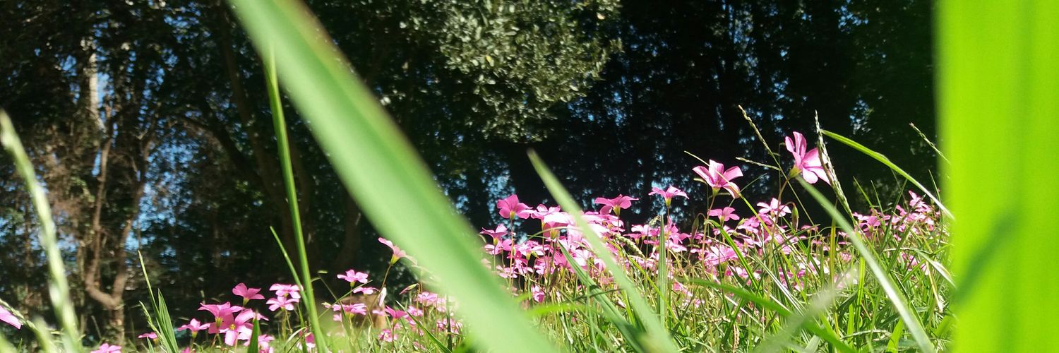 Yael_Atenea's profile banner image