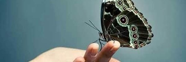 iqbalreg's profile banner image