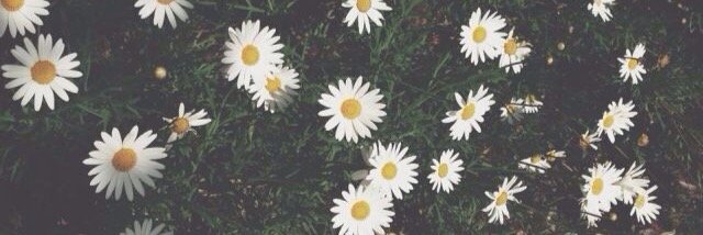 GiselleLerman's profile banner image
