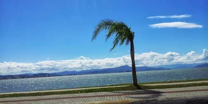 🇧🇷P C P 🇧🇷SOU BOLSONARO banner