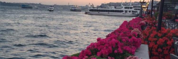 OtbSotb's profile banner image