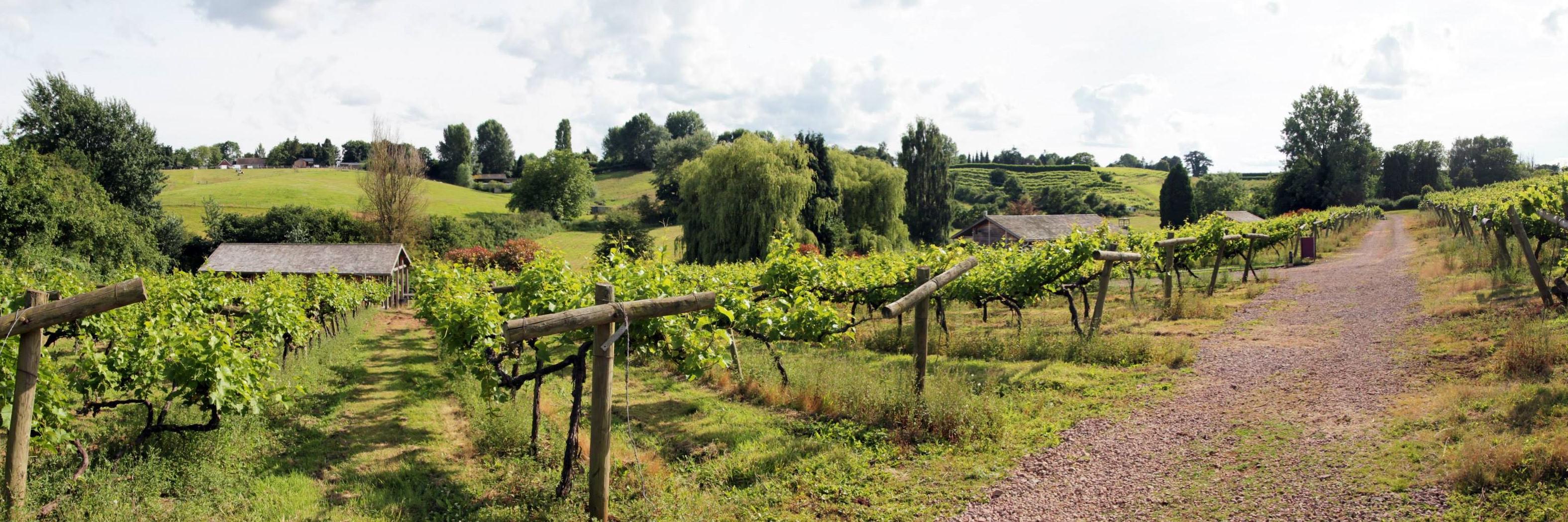 Simon Houghton banner