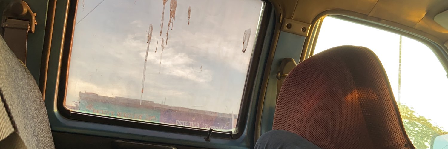 calopeeca's profile banner image