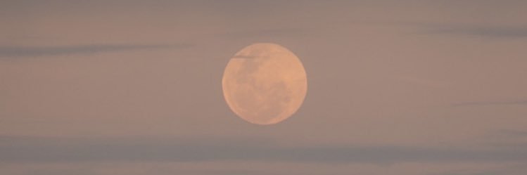 RachelFelixs's profile banner image
