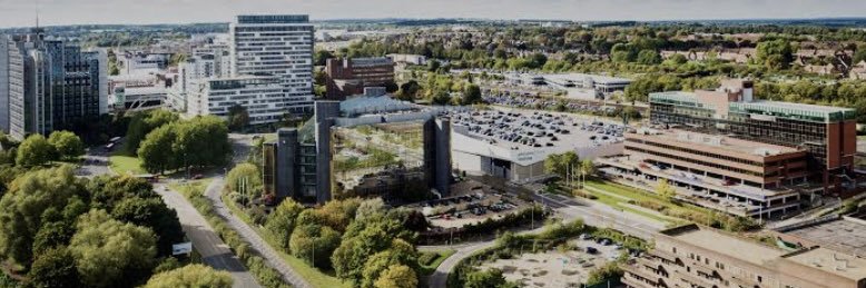 Basingstoke Conservatives banner