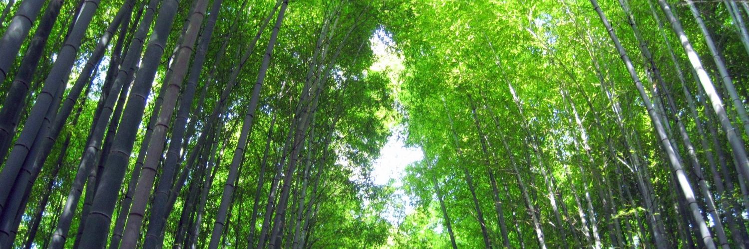 Taku1467's profile banner image