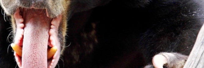 AlexLumberDad's profile banner image