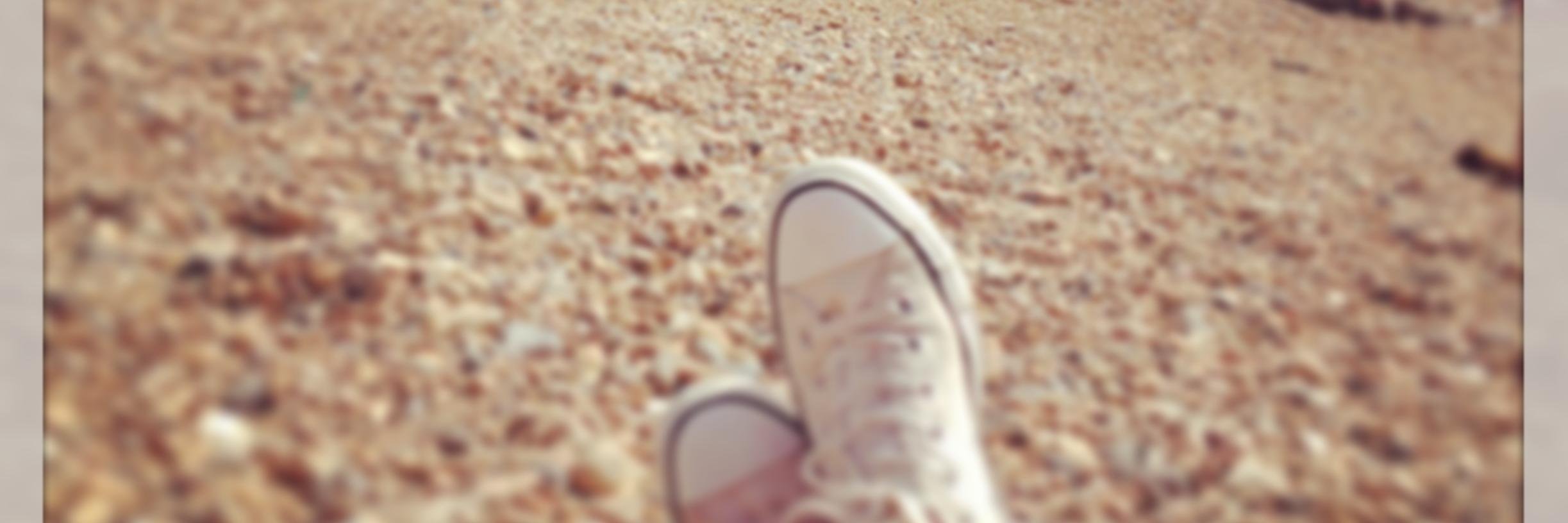 Lynne McCadden banner