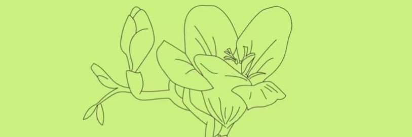 ulisesignacix's profile banner image