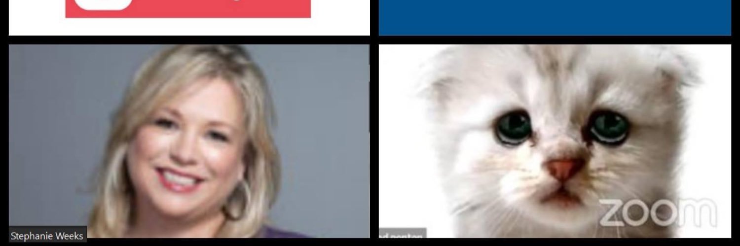 Stephanie Weeks banner