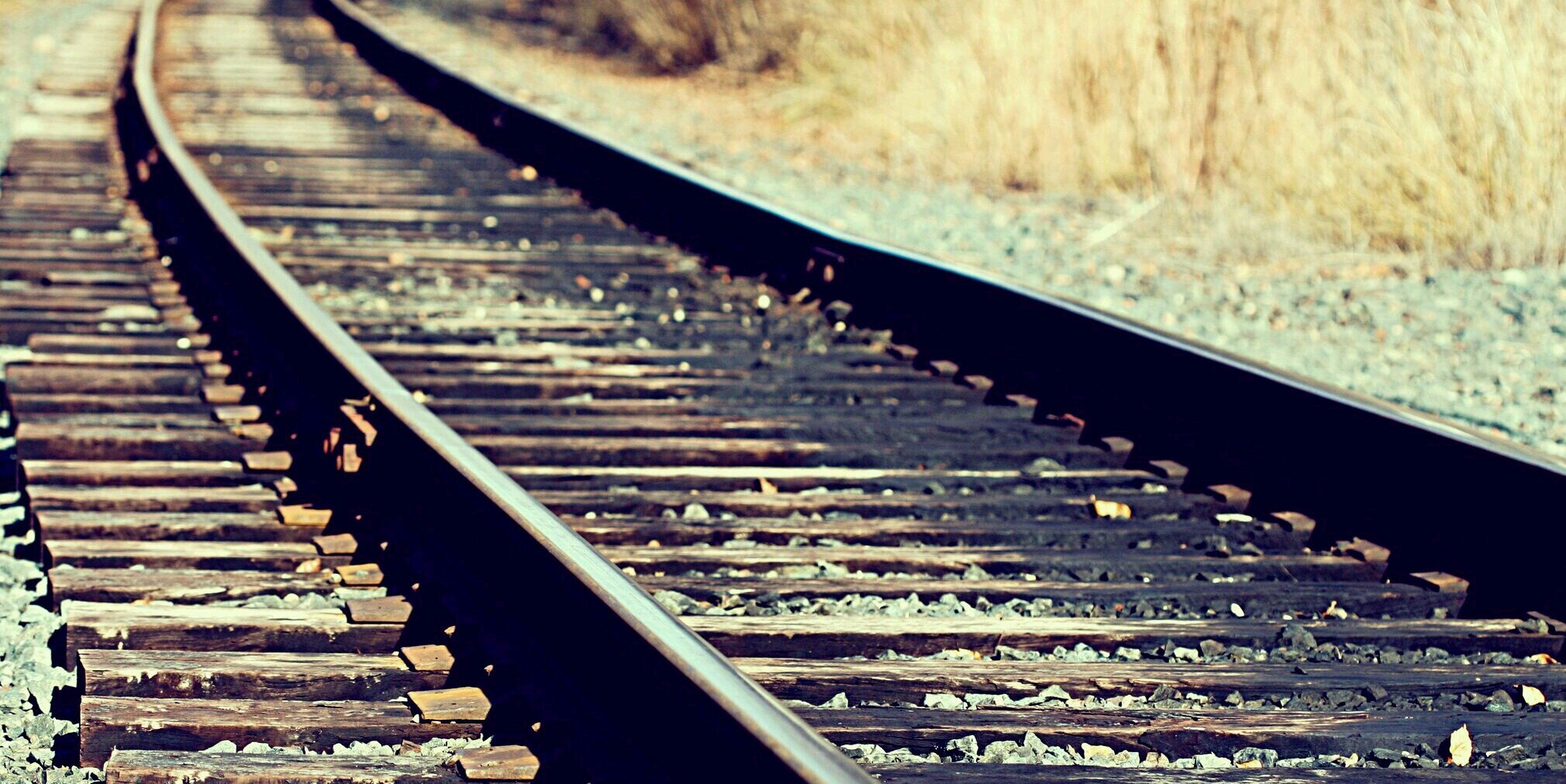 LauhHlr's profile banner image