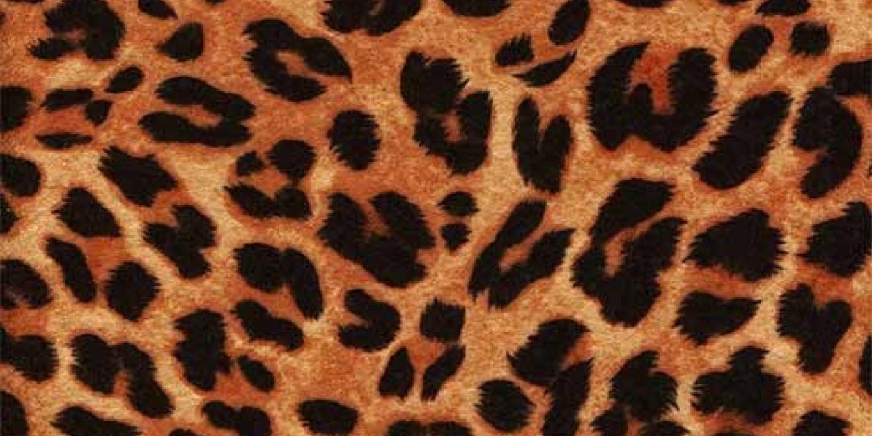 SlvargoVargo's profile banner image