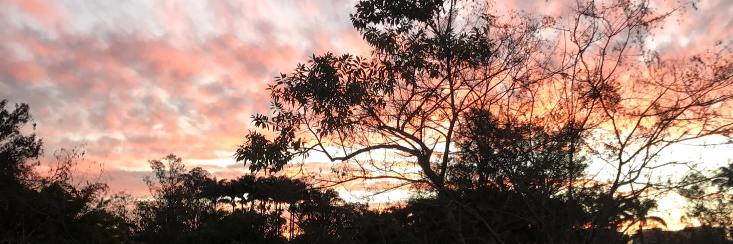 MimoBiazeto's profile banner image