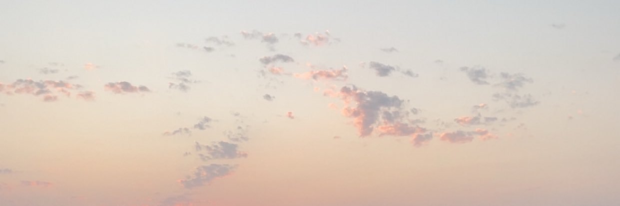 raghadR00's profile banner image