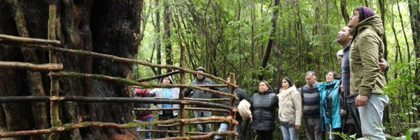 YoungLivesYORKU Profile Banner