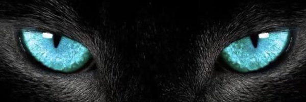 Esther9982 Profile Banner