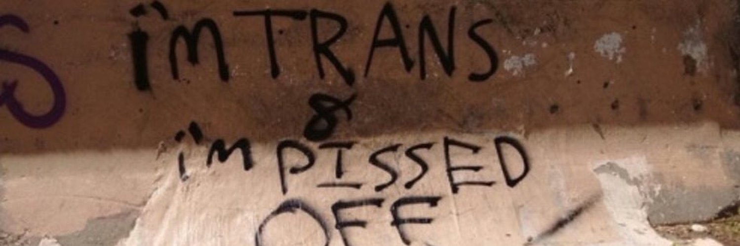 satacat banner