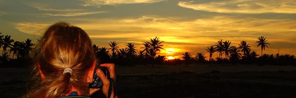 silsplace's profile banner image