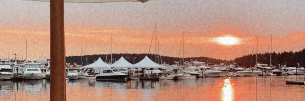stinaserene's profile banner image