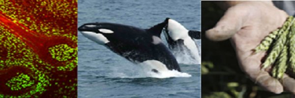 DurBiol Profile Banner