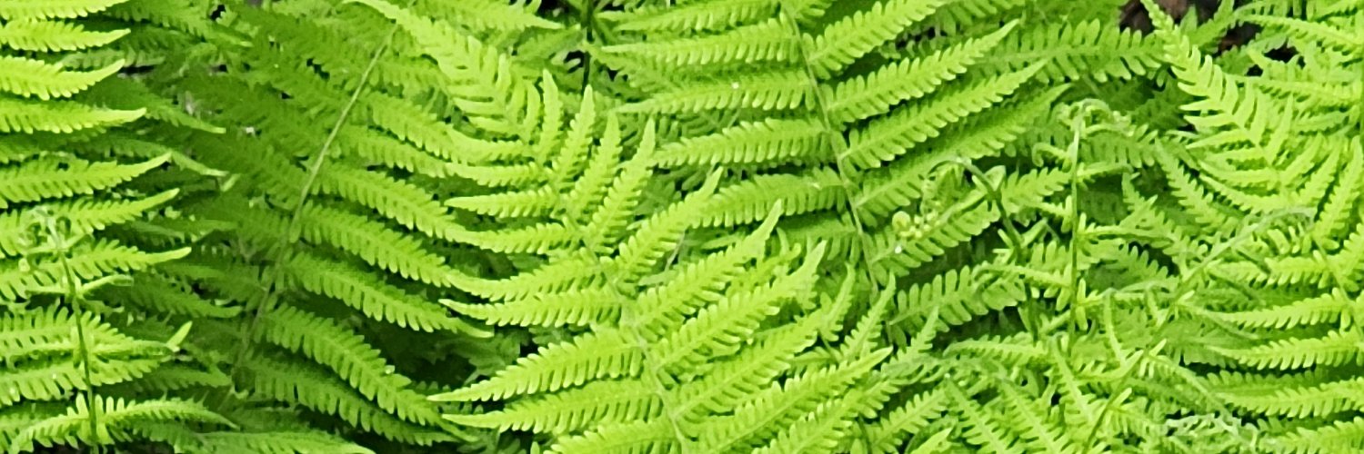 Beth 🇨🇦✌💟 🦞☘️ banner