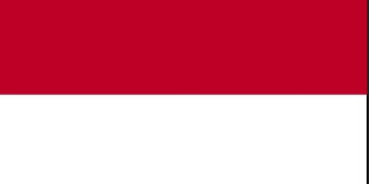 IADS 2014 INDONESIA banner