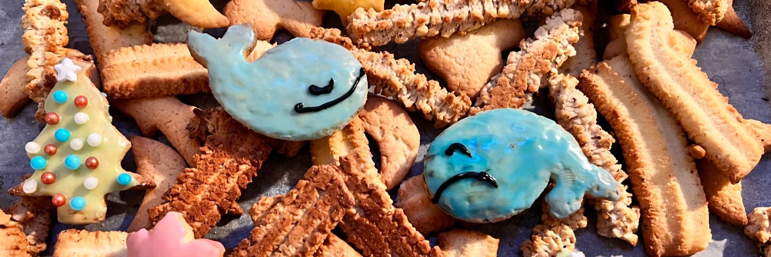 Birgit Reichardt banner