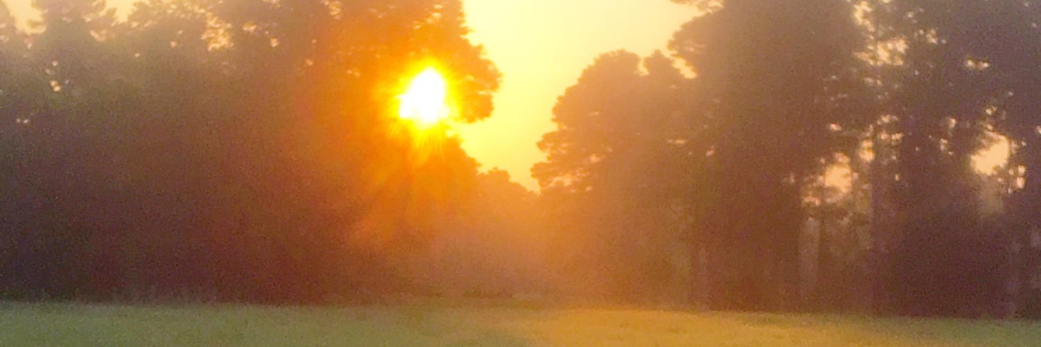 LisaKoonceMHS's profile banner image