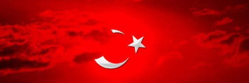 Aysel Ata banner