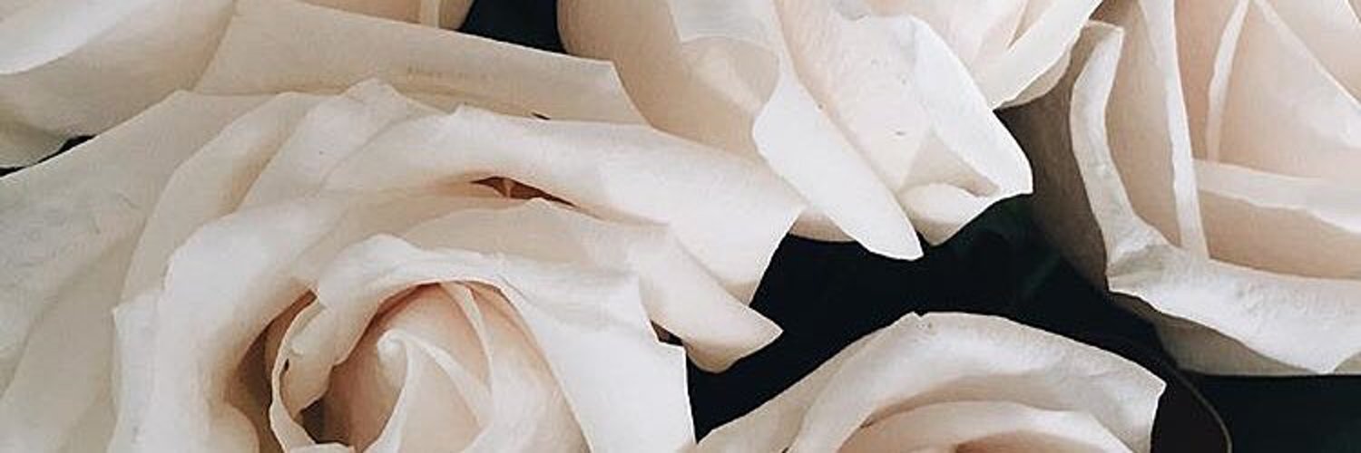 falls 🍁 banner