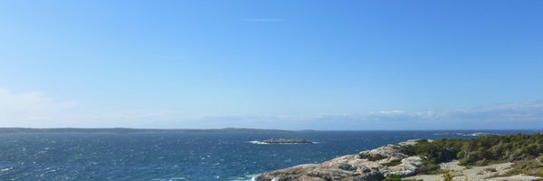 AnjaWestram Profile Banner