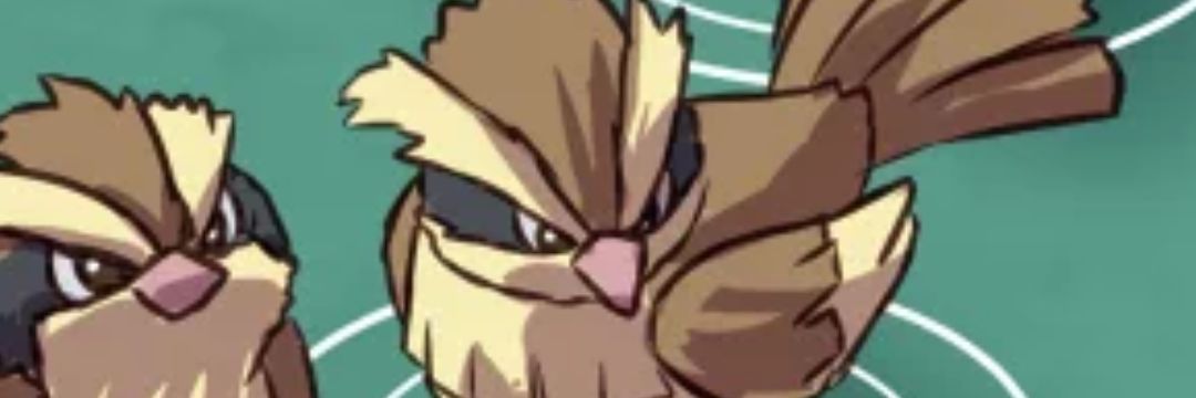 Pidgeypajarraco's profile banner image