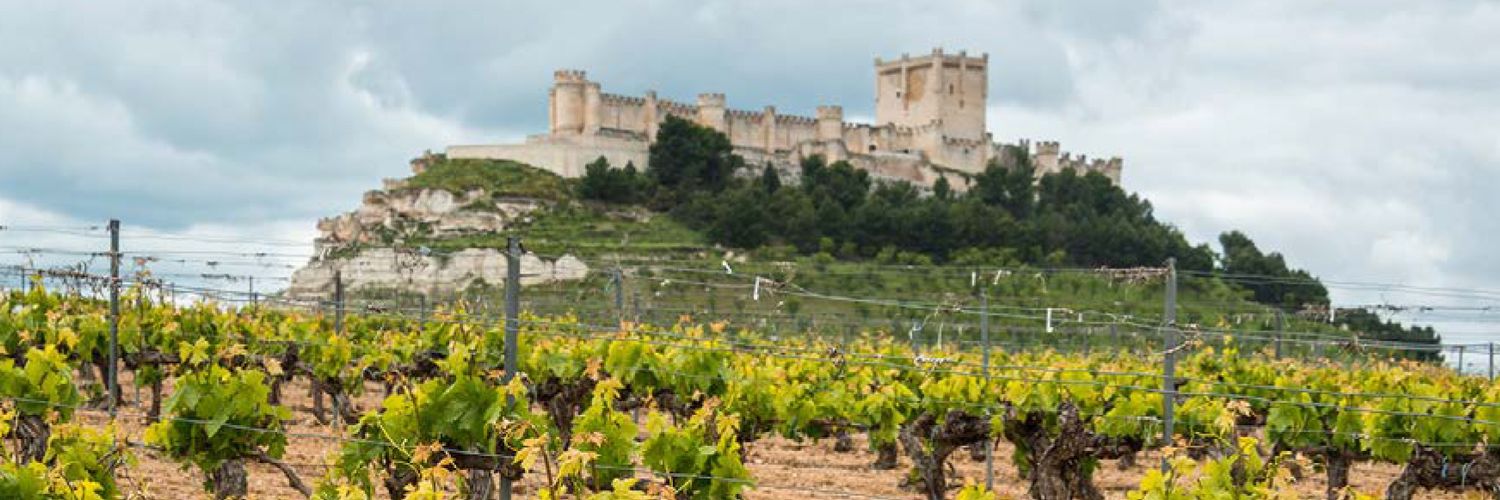 montealeku's profile banner image