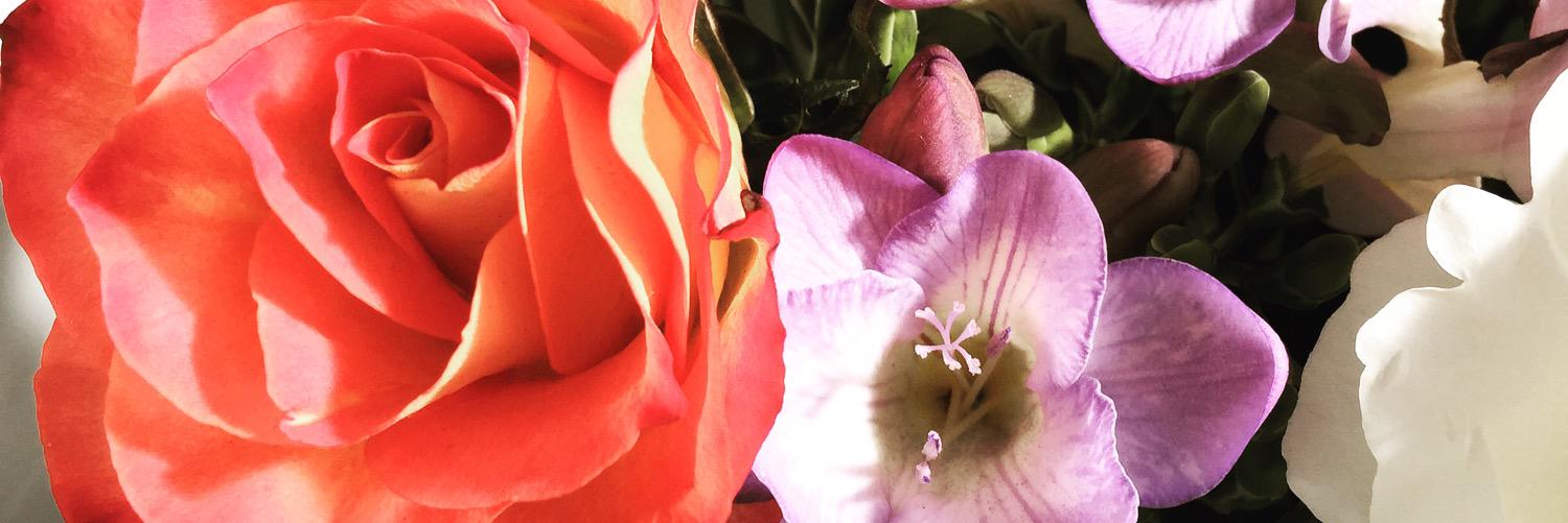 JuliaBruskin's profile banner image