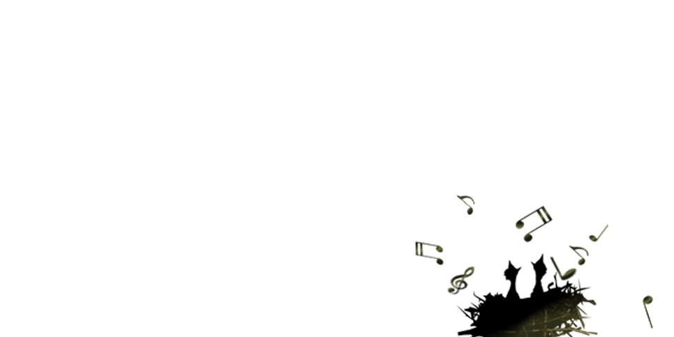 soNido de Ideas banner