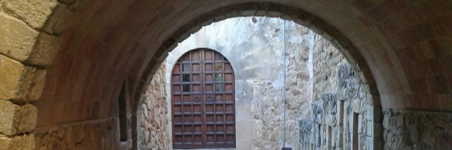 Daniel Kampel banner