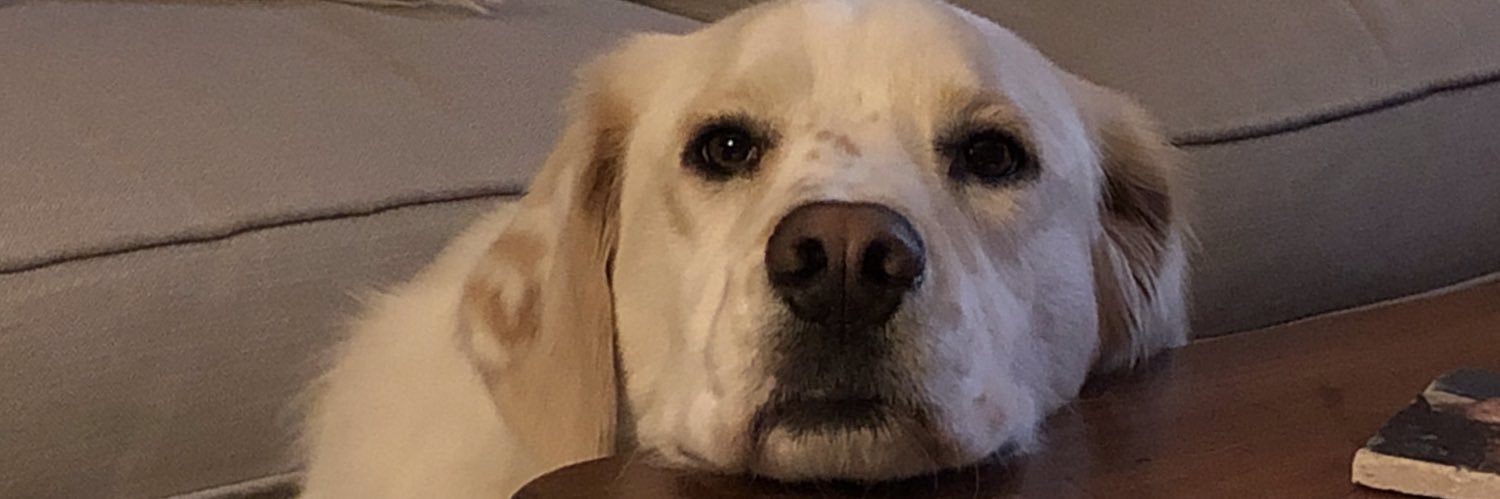 JLKAuburn's profile banner image