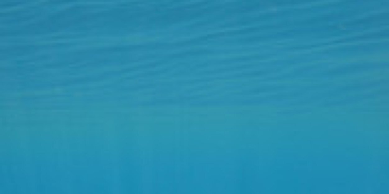 saltfree's profile banner image
