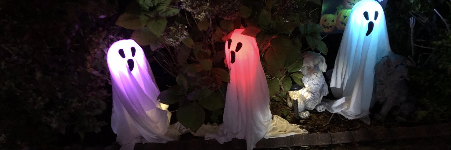 bonejangles93's profile banner image