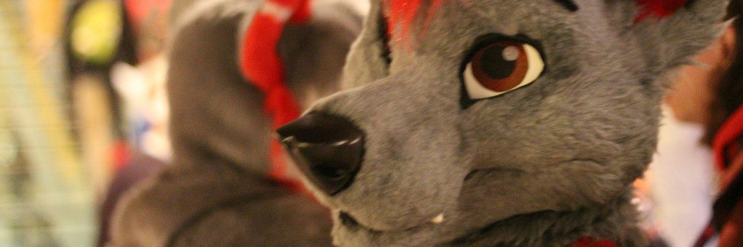 ZikaWolfy's profile banner image