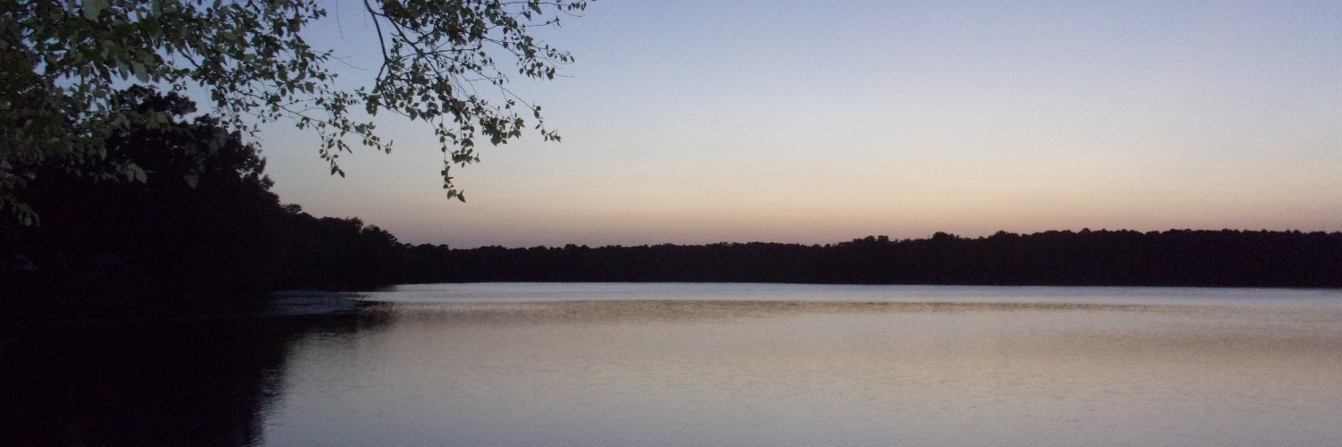 IndigoDyes's profile banner image