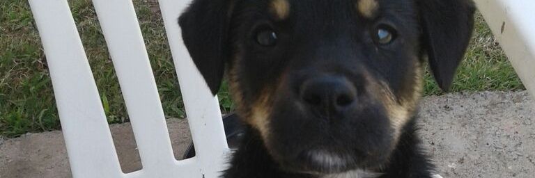 nattaliarosa's profile banner image