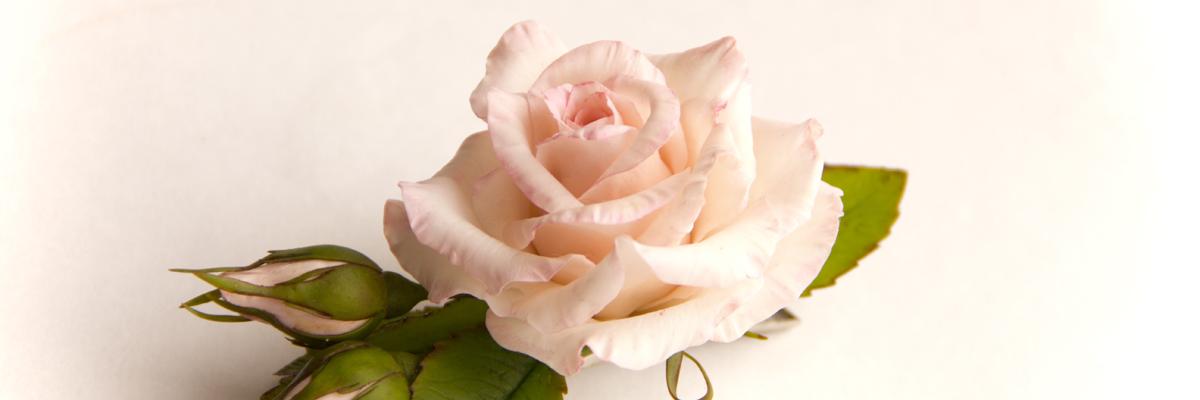 JewelryFloren's profile banner image
