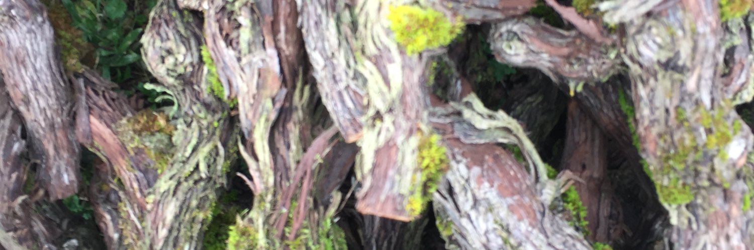 ChampagneDN's profile banner image