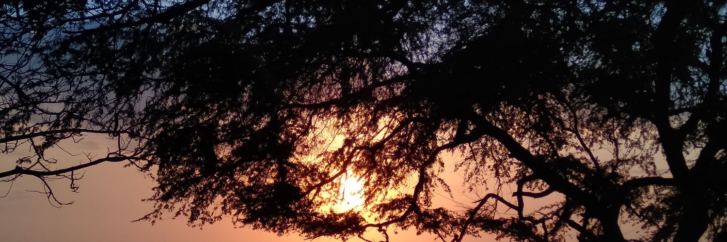 luzia_bkl's profile banner image