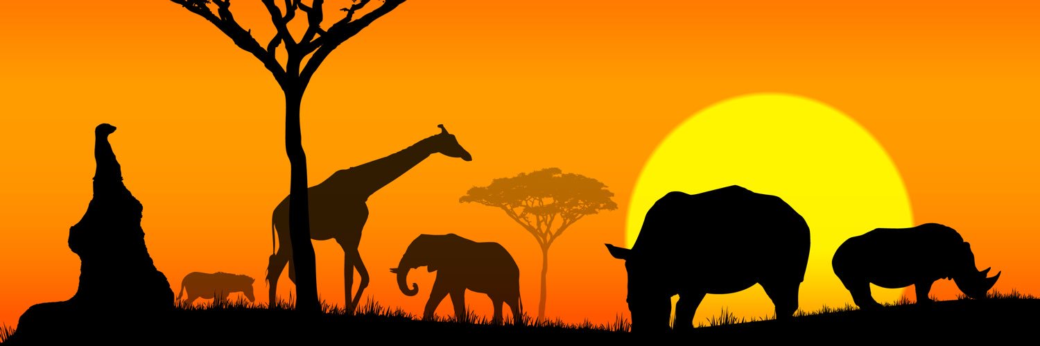 Catherine Sentell banner