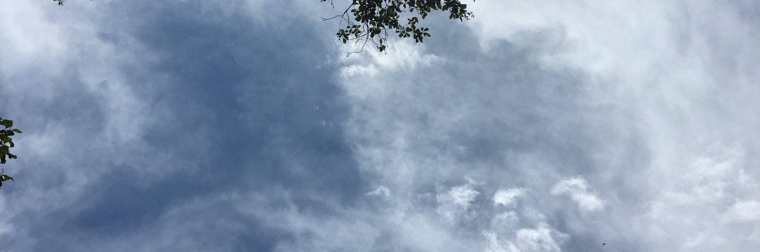 JavierRubioG's profile banner image