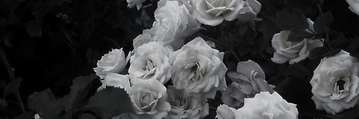 Lexon__'s profile banner image