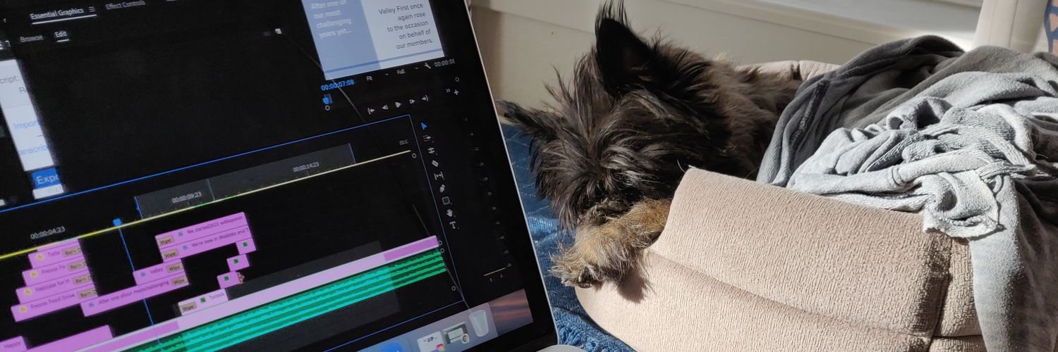 Rachel Bastarache Bogan banner