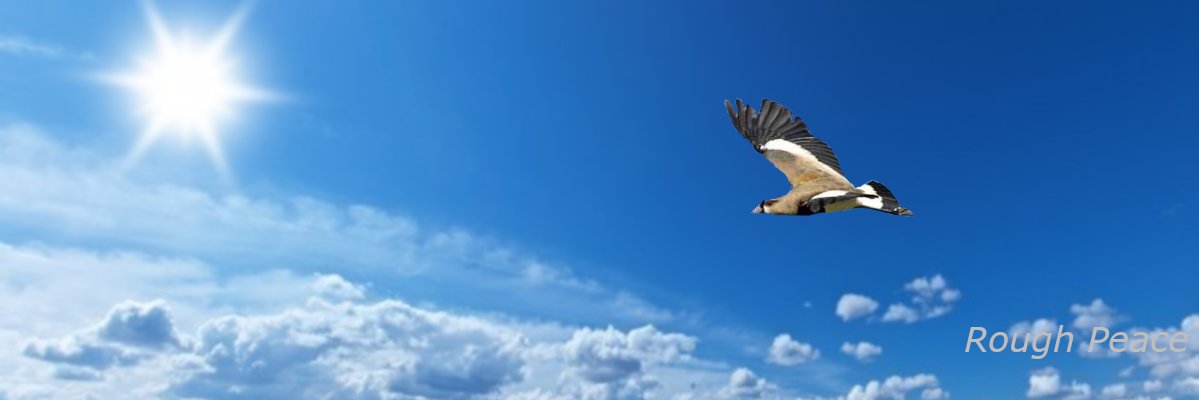 Sidewindersid's profile banner image